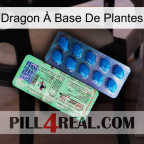 Dragon À Base De Plantes new02
